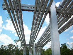 bse_green001003.jpg